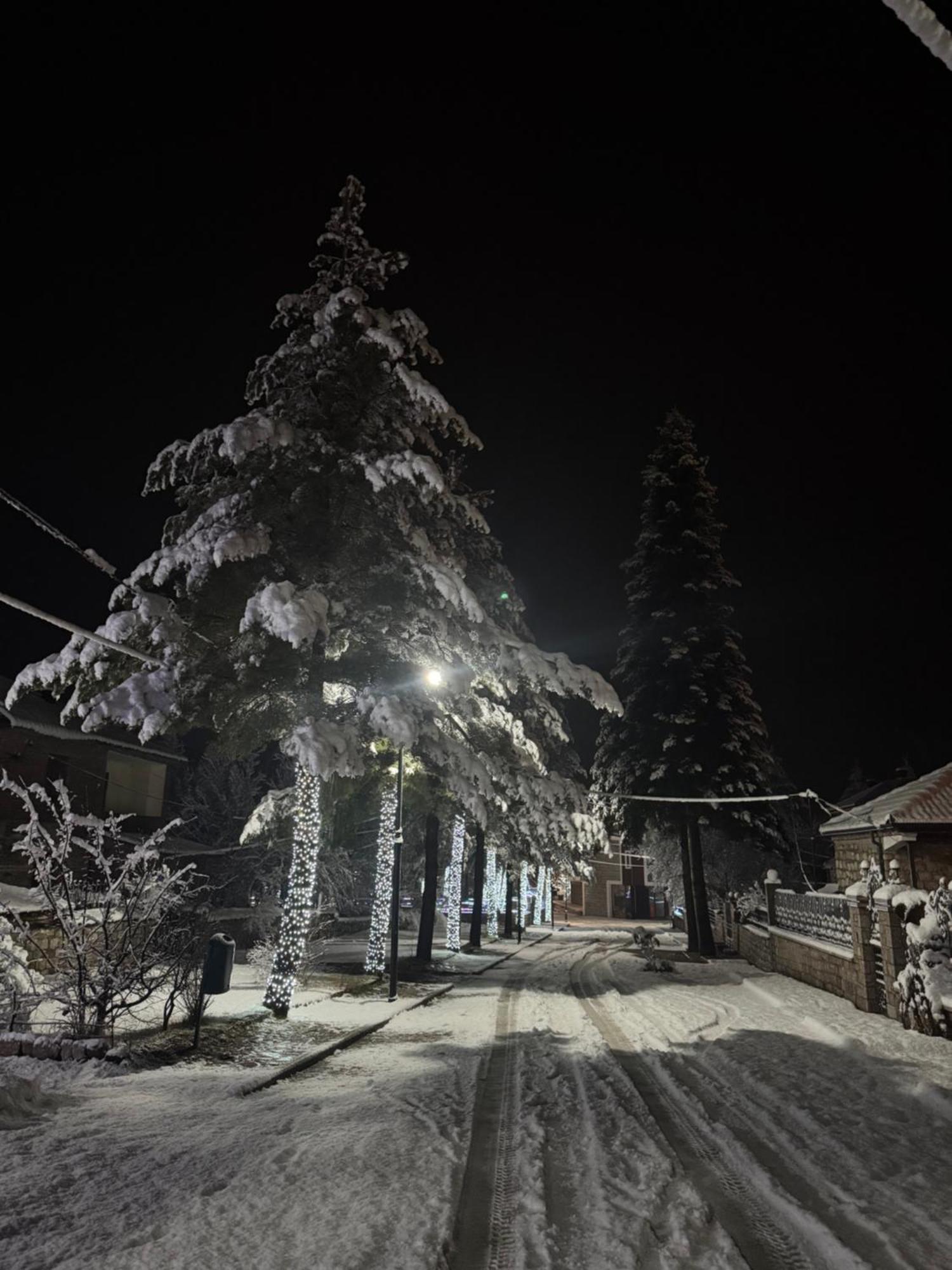 Hotel Ambassador Voskopojë Exteriér fotografie